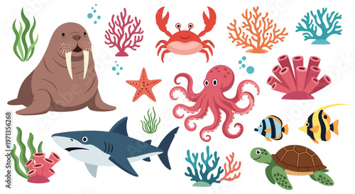 Colorful collection of various sea animals including a shark walrus octopus and turtle with coral and seaweed for marine life education.