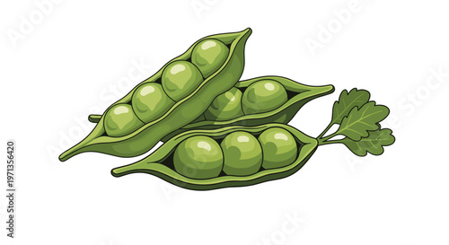 Fresh green pea pods with round peas inside and leaves shown in a detailed illustration for healthy eating and vegetable themes.