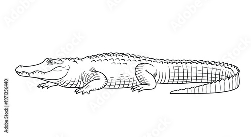 Classic children's toy wagon in orange and blue with a long handle shown in a clean flat illustration for childhood and play themes.