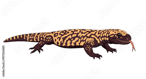 Detailed illustration of a gila monster lizard with its distinctive orange and black beaded skin pattern and flicking tongue.