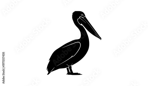 Pelican silhouette side view coastal bird vector illustration isolated on white background