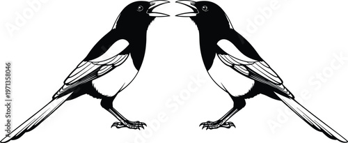 Two Eurasian magpies pica pica bird vector silhouette icons with open beaks facing each other in symmetrical mirror reflection isolated on white background for graphic design.