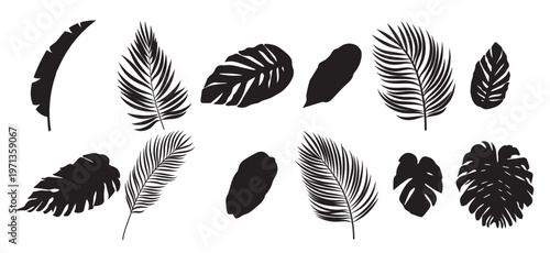  collection of silhouette leaf elements set of tropical 