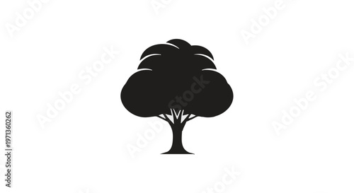 A black silhouette of a tree with a large canopy
