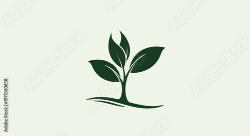 A green plant sprout with leaves growing out of the ground