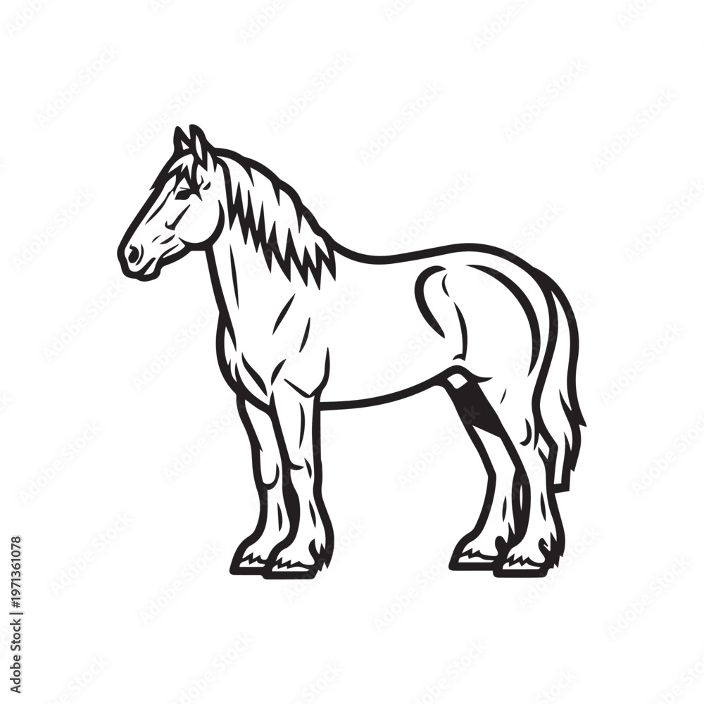 Obraz premium Draft Horse Standing Side View Line Art Illustration