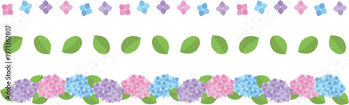 アジサイのライン3種セット