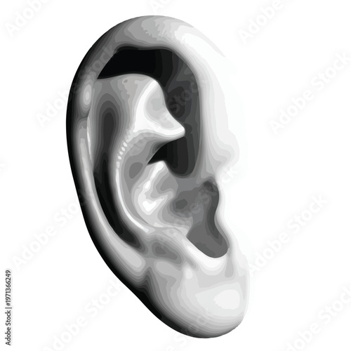 Stylized illustration of a human ear vector