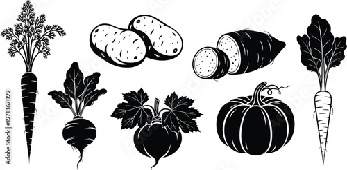 Vegetable silhouette collection with carrot, potato, pumpkin and beetroot, black food icons set for organic farming design, healthy nutrition concept and kitchen illustration graphics