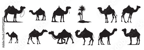 camel silhouette set black logo animals silhouettes icons