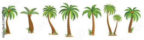 cartoon jungle coconut palm trees vector set