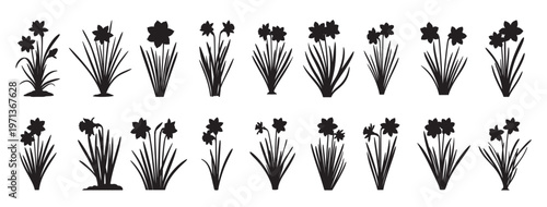 cattails silhouette white background