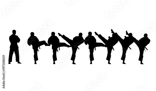 Martial arts kick sequence silhouette training progression fighters technique vector isolated on white