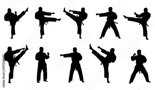 Martial arts silhouette set with dynamic fighting poses kicks punches and combat stances vector isolated on white