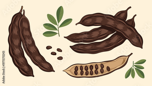 Illustration of brown carob pods with seeds and green leaves arranged on a soft beige background for culinary concepts.