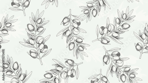 Detailed pattern of olive branches with ripe olives drawn in a realistic vintage sketch style on a light background.