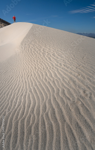 Wallpaper Mural Walking on the Dunas Costeras de Punta Chipehua, Salina Cruz, Oaxaca Mexico Torontodigital.ca