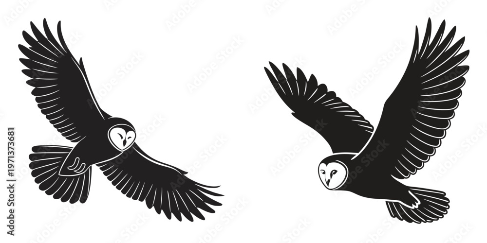 Fototapeta premium Two barn owls flying in the air with outstretched wings
