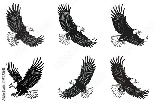 Six black and white eagle silhouettes in various flying positions