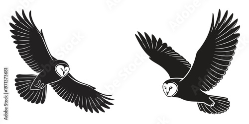 Two barn owls flying in the air with outstretched wings