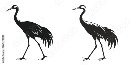 Two black cranes walking side by side in profile view