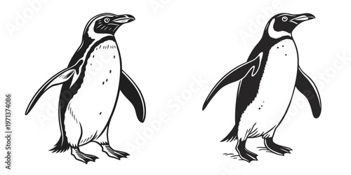 Two penguins standing side by side in black and white illustration