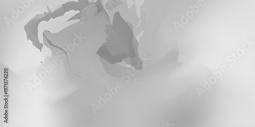 Abstract Gray and White Smoke Texture Background with Flowing Shapes