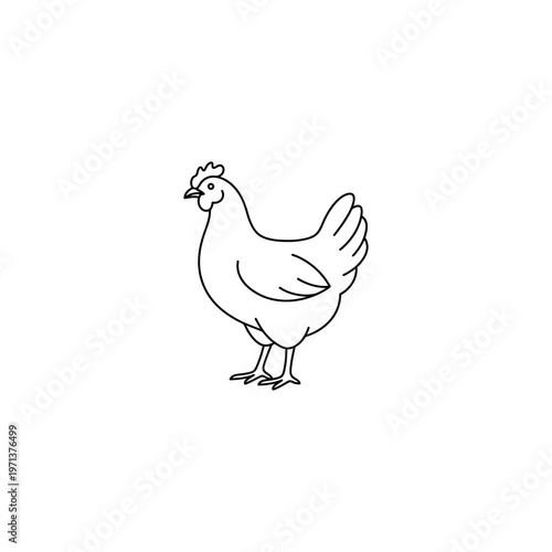 A black and white chicken standing.