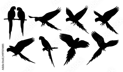 Parrot silhouette set collection with flying and perched tropical bird poses vector isolated on white