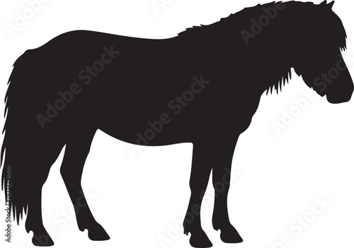 Fotografie Shetland Pony icon on white background.