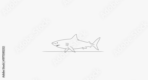 Minimalist shark illustration on white background