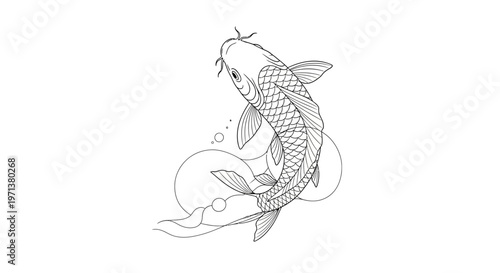 Elegant Koi Fish Line Drawing Illustration