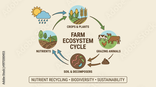 Farm Ecosystem Cycle: A detailed illustration showcasing the interconnectedness of various elements within a farm ecosystem, emphasizing nutrient recycling, biodiversity, and sustainability.