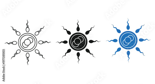 Fertilization process icon set showing sperm cells surrounding an egg cell in outline, solid black, and blue styles