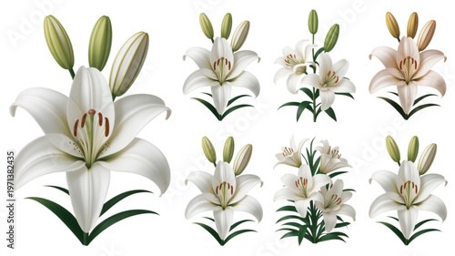 Colorful cartoon animals dressed in festive and whimsical halloween costumes Vector