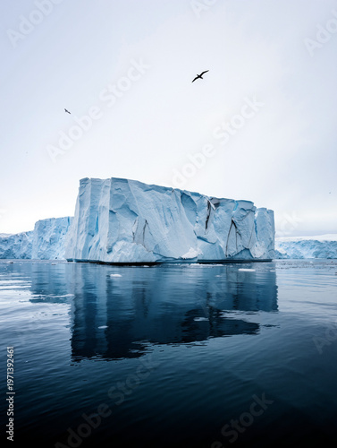 Large blue iceberg floating in calm polar waters with perfect mirror reflection, seagulls soaring above in serene sky. Generative AI