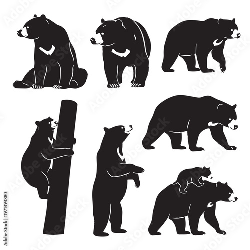 Black Sun bear Silhouette Vector, High Quality Illustration on White Background