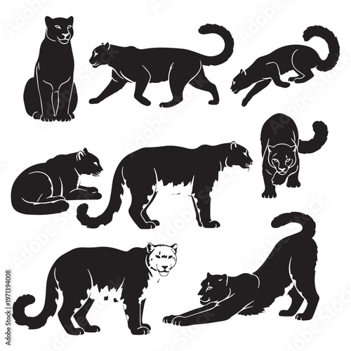 Black Snow leopard  Silhouette Vector, High Quality Illustration on White Background