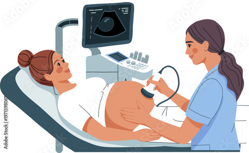 Pregnancy Ultrasound Checkup Illustration Prenatal Healthcare Concept