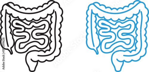 digestive, digestion, gut, intestine, stomach, health, enzyme, metabolism, absorption,