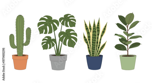 Four Different Types of Potted Plants.