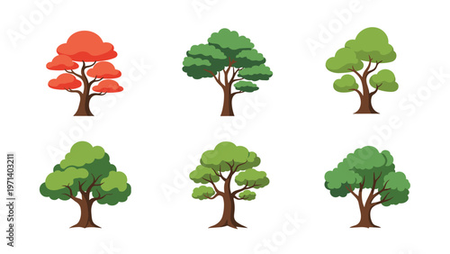 Set of six various deciduous tree illustrations with different shapes and vibrant autumn and summer leaf colors.