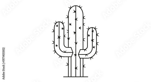 Detailed illustration of a cactus plant.