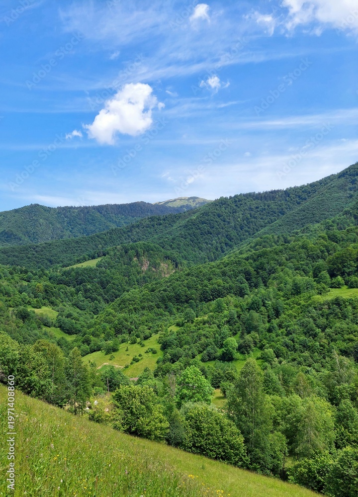 Fototapeta premium Scenic summer mountain valley with lush green forests and blue sky
