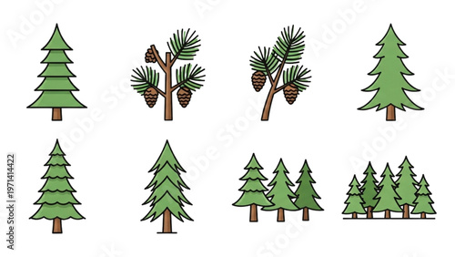 Vector CAD design of various pine trees and conifers in forest