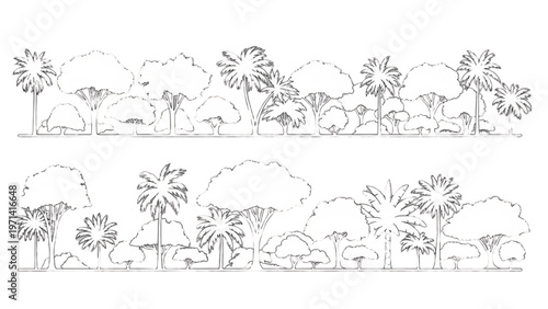 Vector CAD design of a tropical landscape with trees and plants in a vector illustration