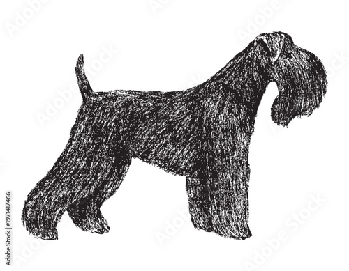 One purebred airedale terrier dog silhouette, profile view, vector textured hand drawing isolated on white background