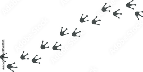 Symmetric Frog or Toad Footprints Trail on White Background