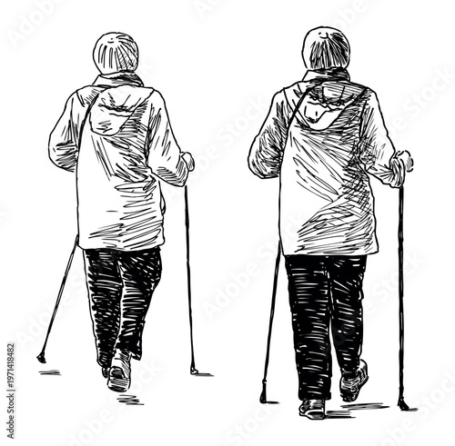 Elderly women with Norwegian sticks in wellness walking, realistic sketch, back view, vector hand drawn illustration