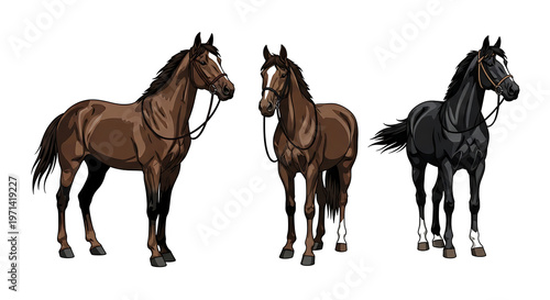 A captivating illustration of three majestic horses, showcasing their powerful and elegant forms with rich bay and striking black coats, embodying grace and dynamic spirit